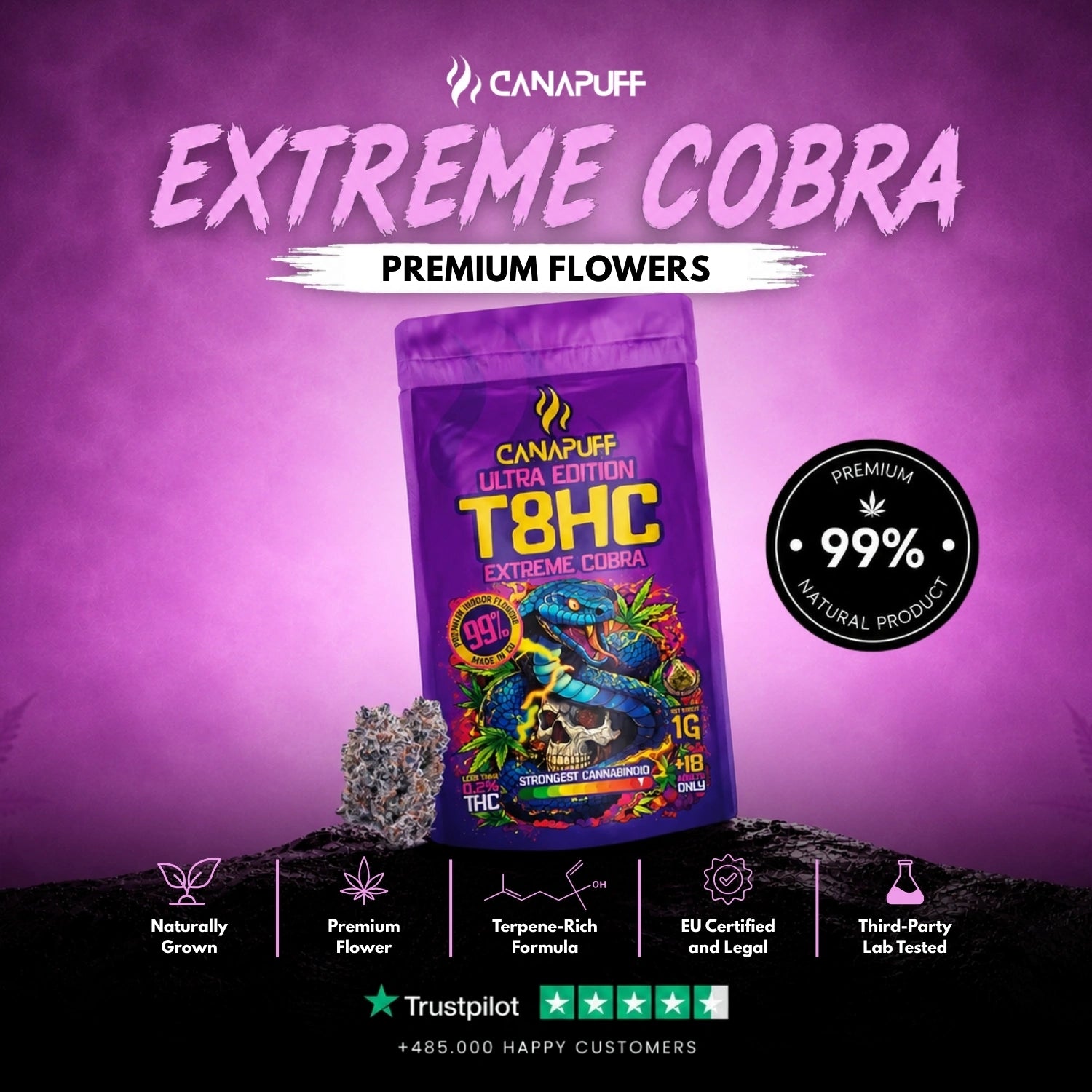 T8HC Blüten Extreme Cobra 99%
