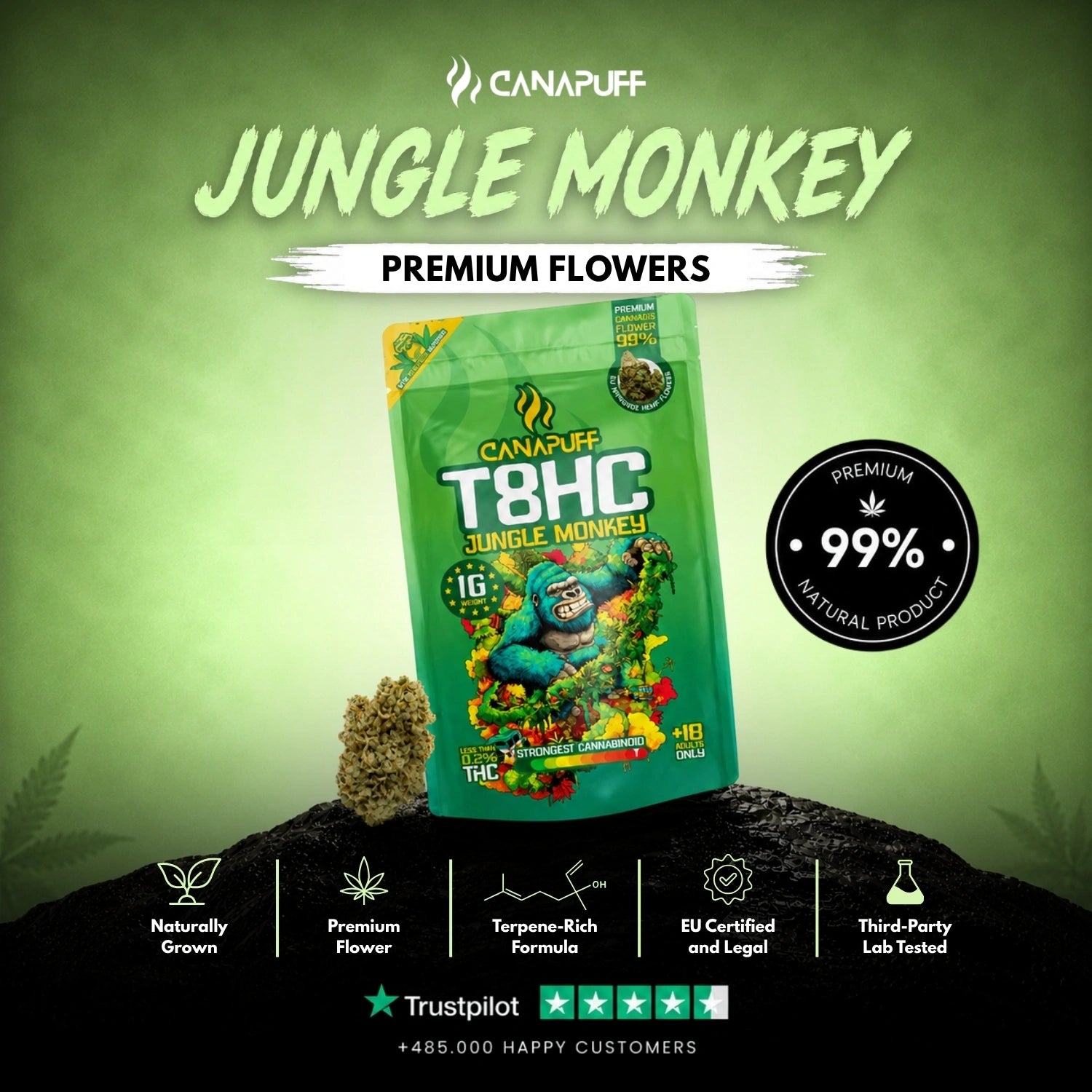 T8HC Blüten Jungle Monkey 99%