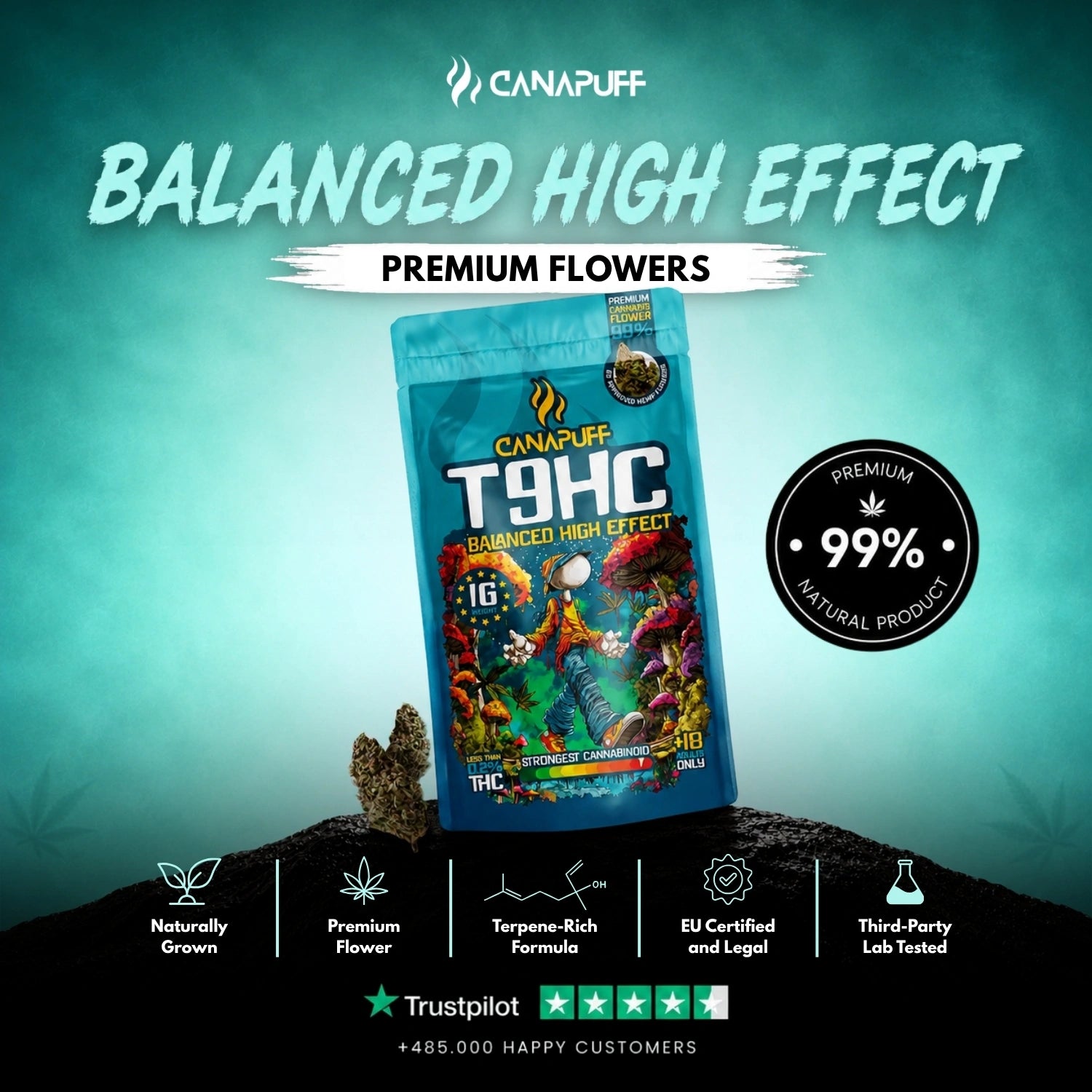 T9HC Blüten Balanced 99%