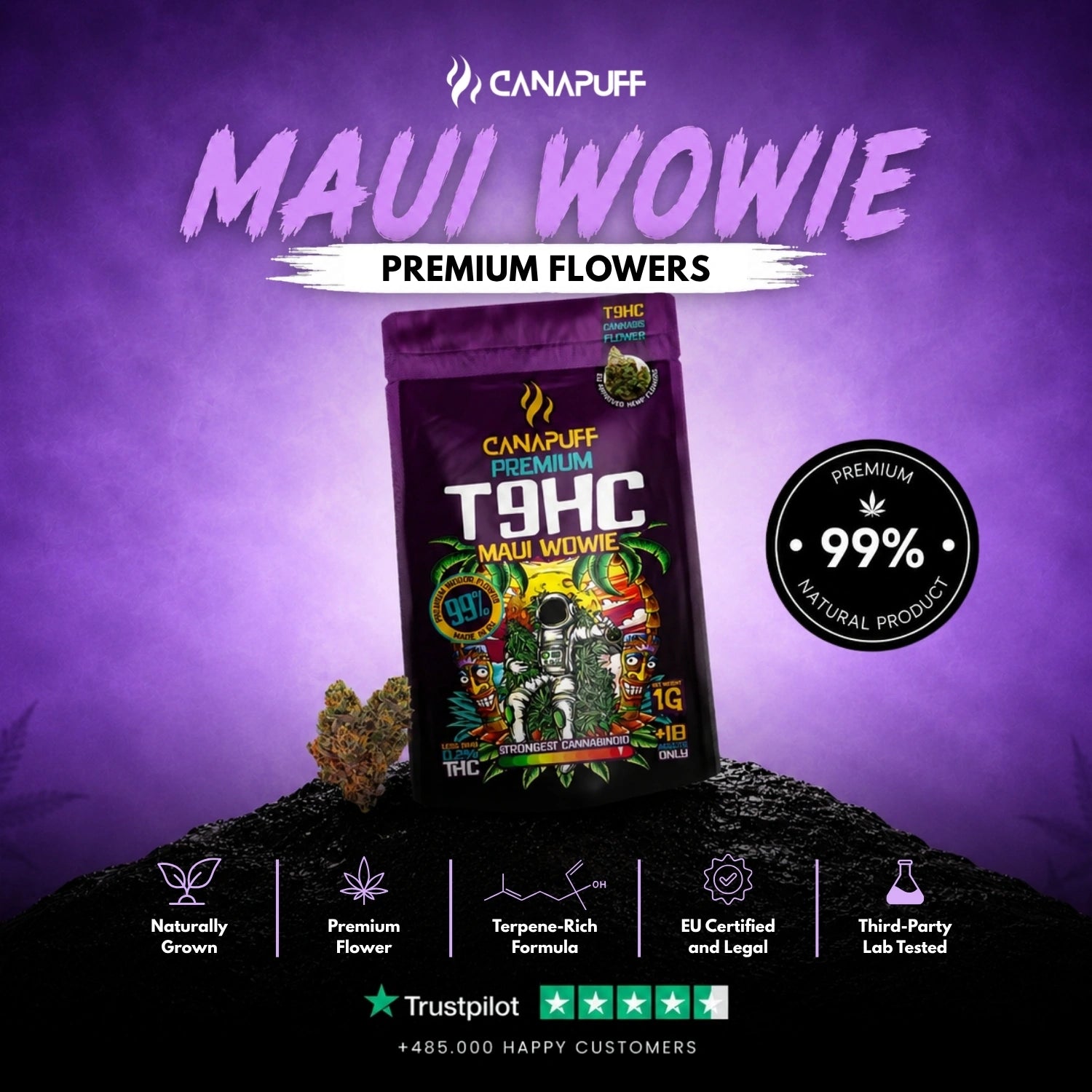 T9HC Blüten Maui Wowie 99%