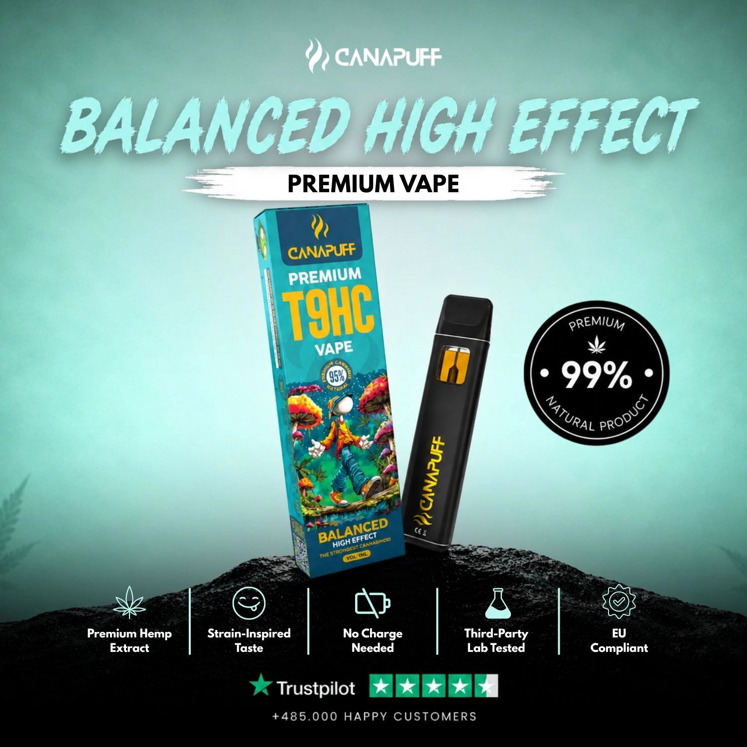 T9HC Vape Balanced 95% 1ml