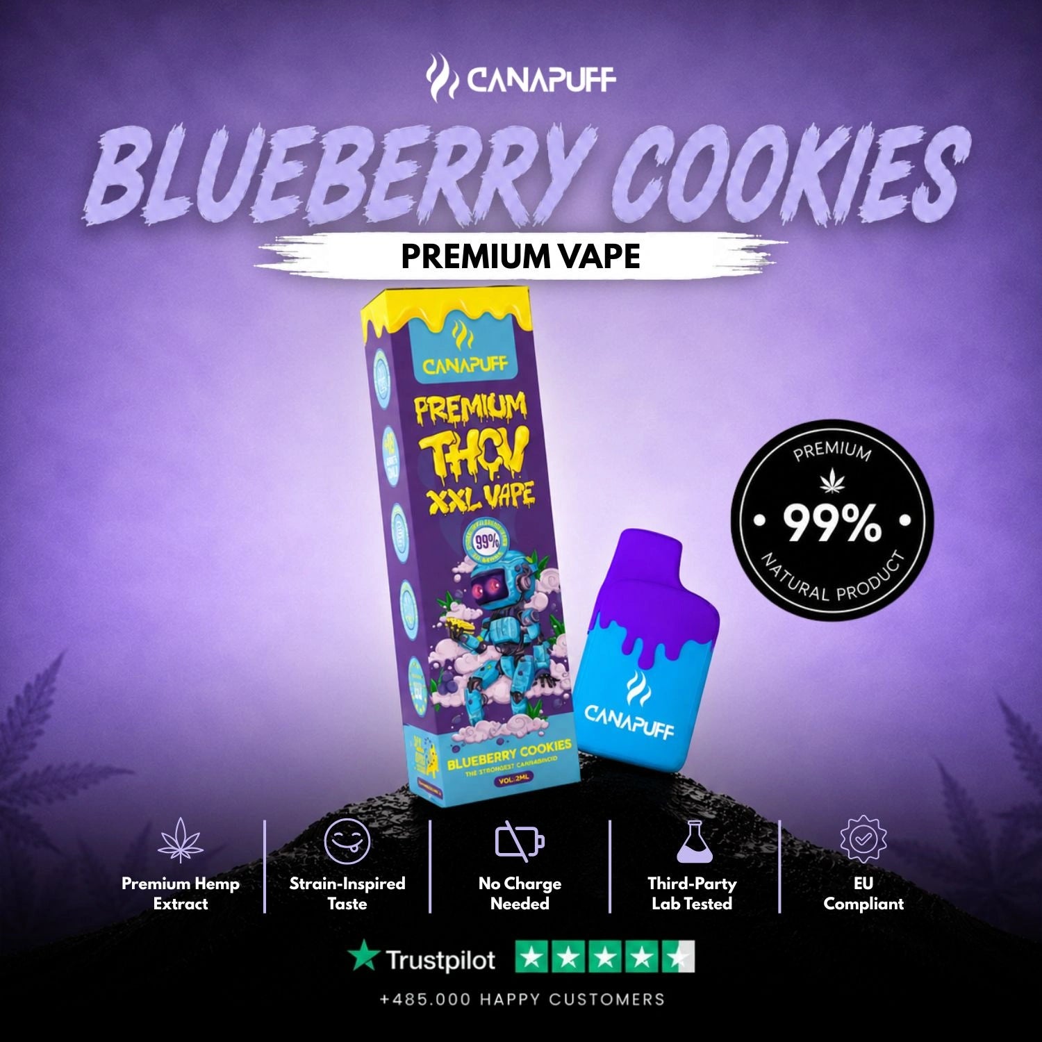 THCv Vape Blaubeere Cookies 99% 2ml