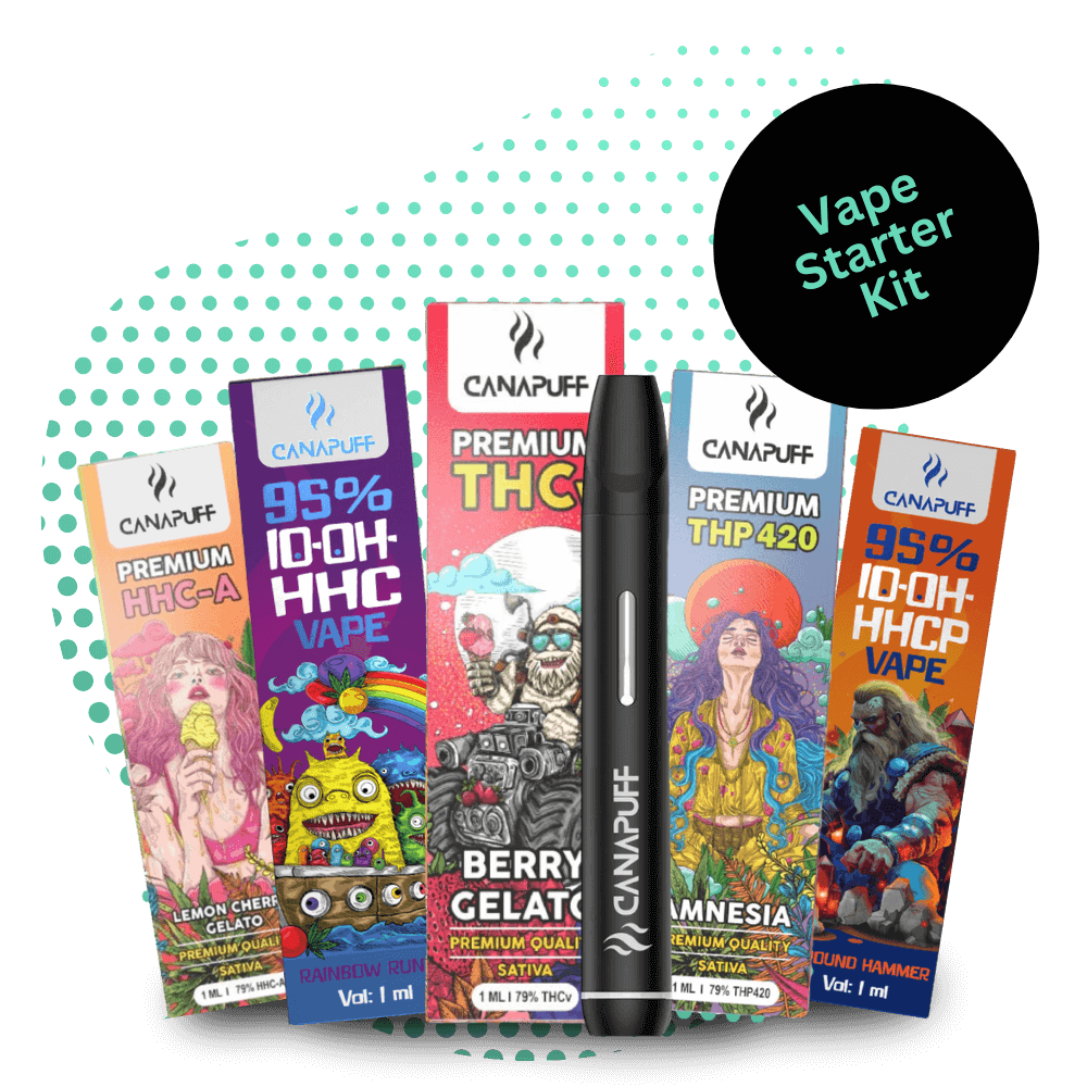Bestseller Vapes Paket