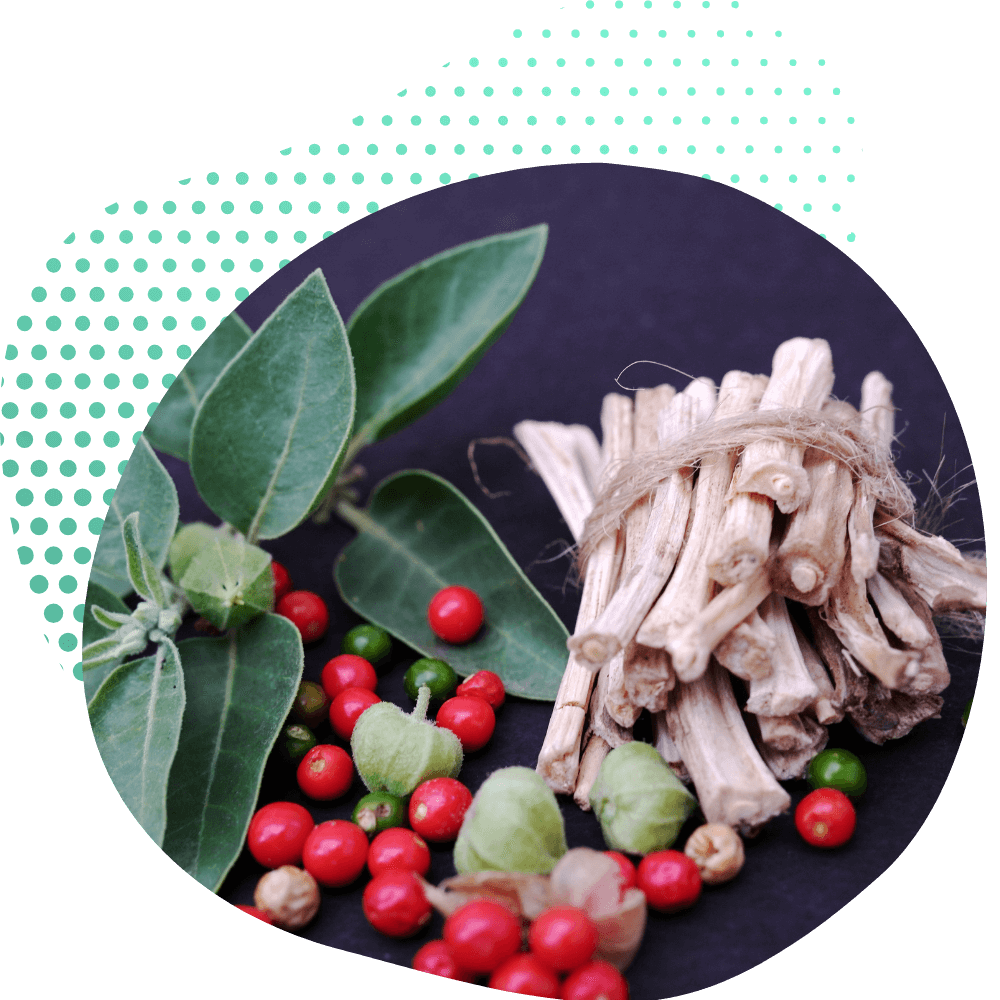 Die Wissenschaft hinter Ashwagandha
