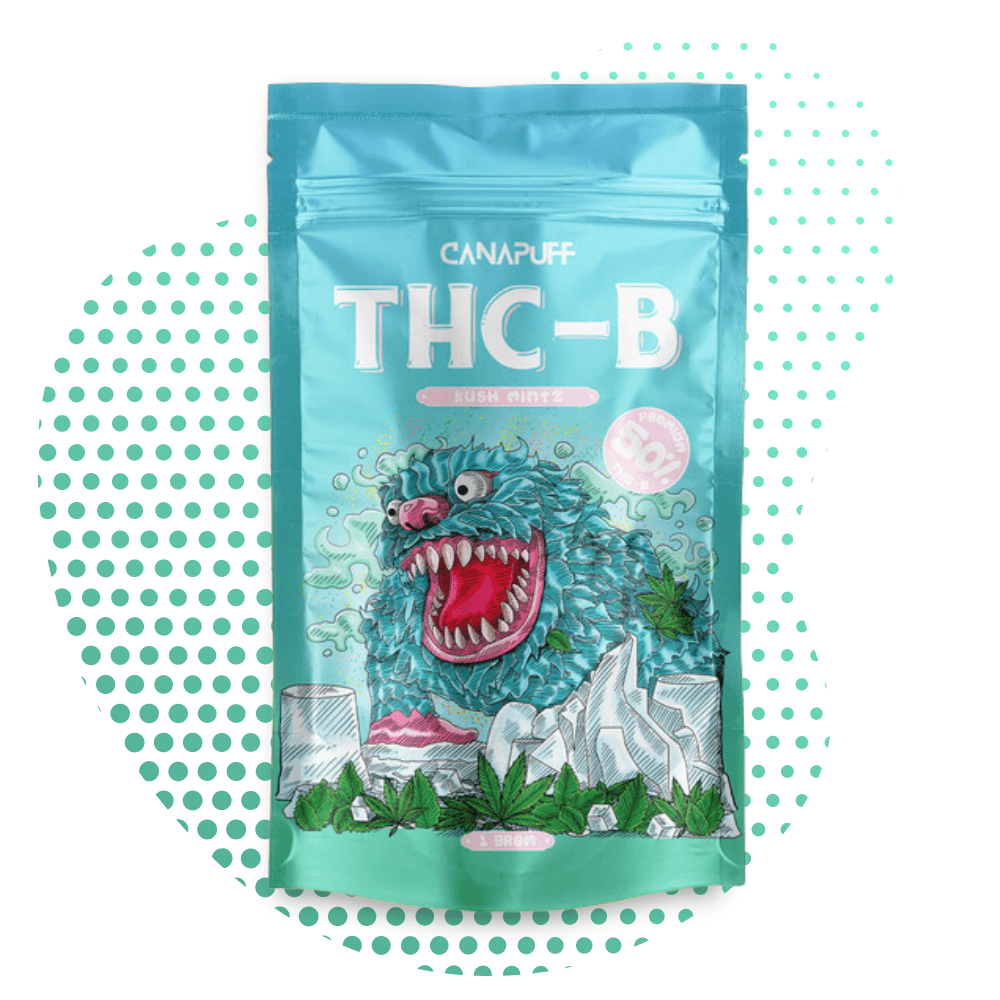 Canapuff Kush Mintz 50% THC B Blüten