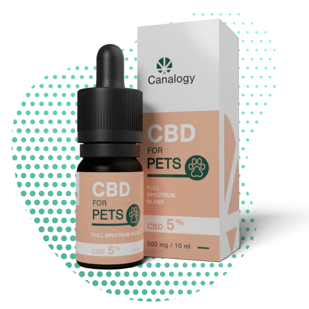CBD Öl Haustiere 5 Full Spectrum Blend Canalogy