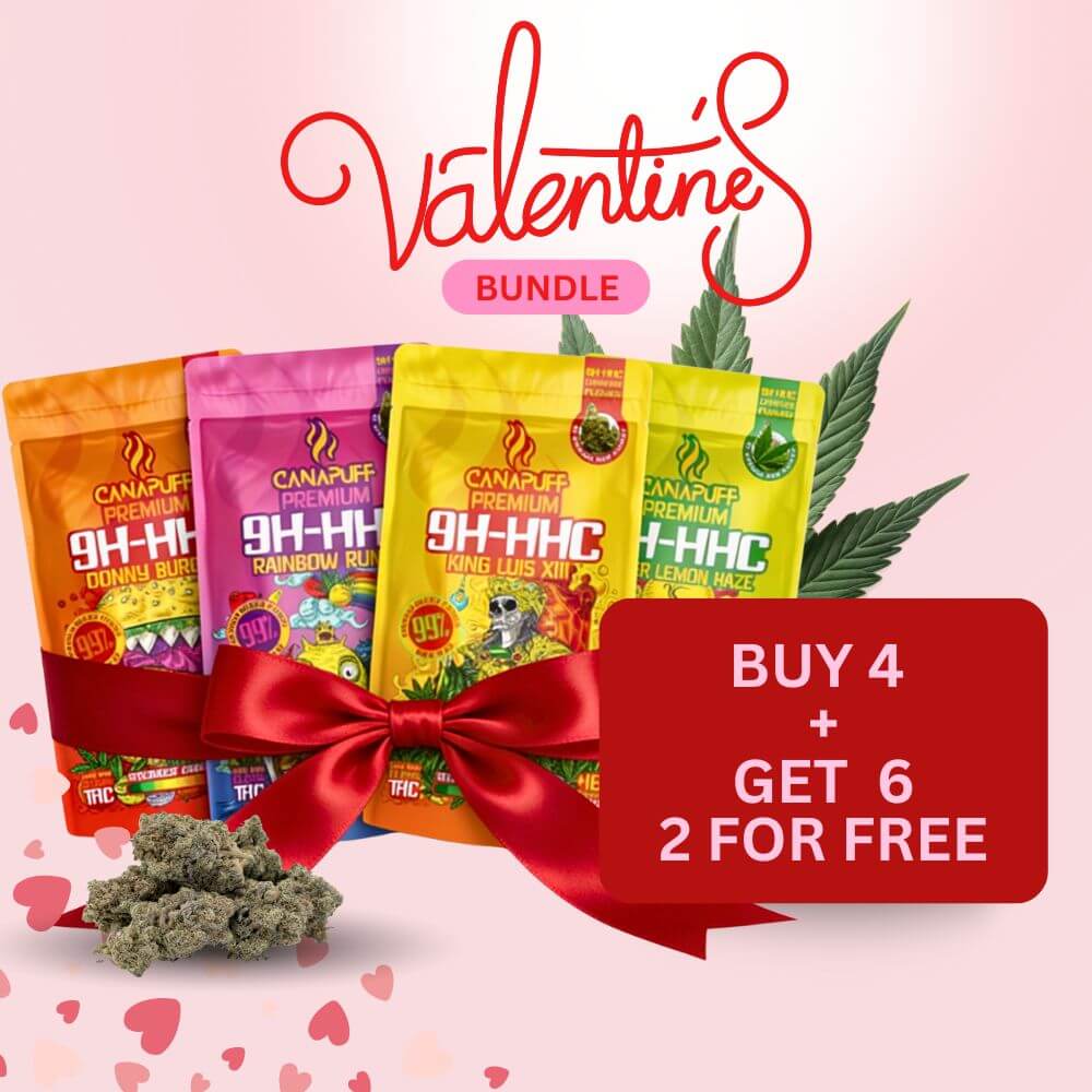 Valentine's Special Bundle Flowers - Buy 4 Get 6