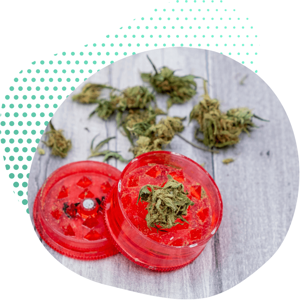 Wirkungen von THC BlĂŒten