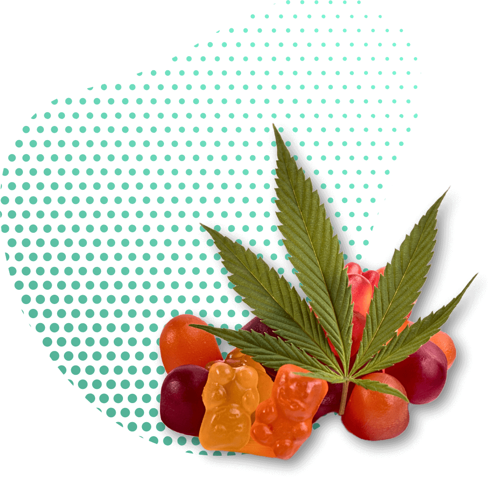 Gummibärchen 10-OH-HHCP Premium Canapuff