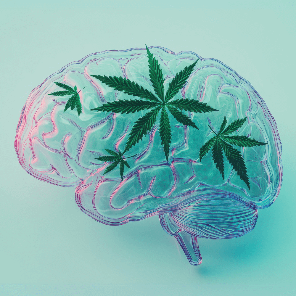 pain_body_pain_relif_bundle_canapuff-Canapuff