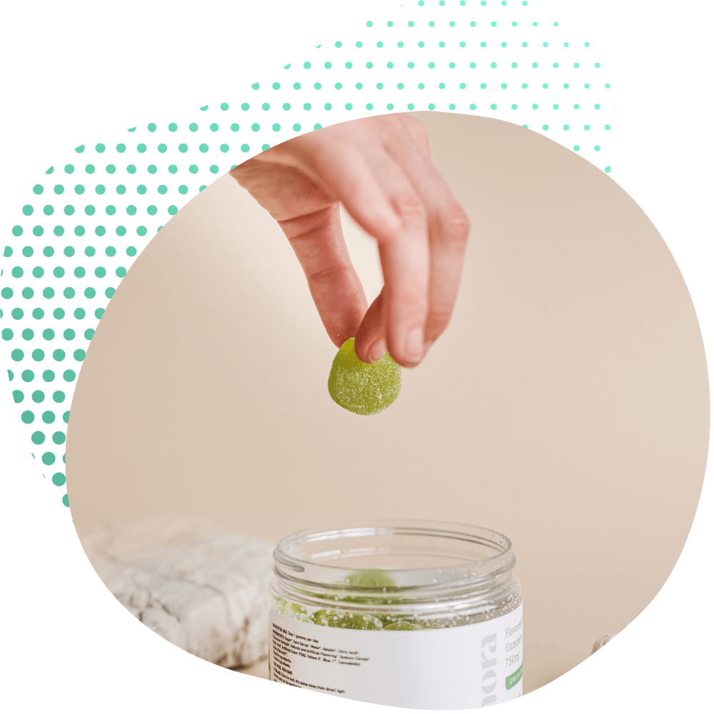 THC CBD Gummibärchen 10-OH HHCP Premium Buds Canapuff