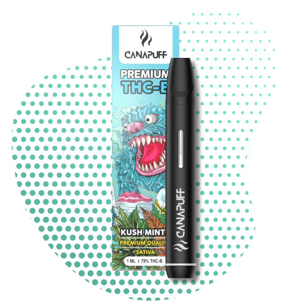 Kush Mintz 79% - THC-B - Canapuff - Einmalige Verwendung - 1ml Canapuff