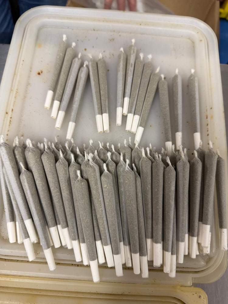 Hand-rolled pre-rolls ready for packing