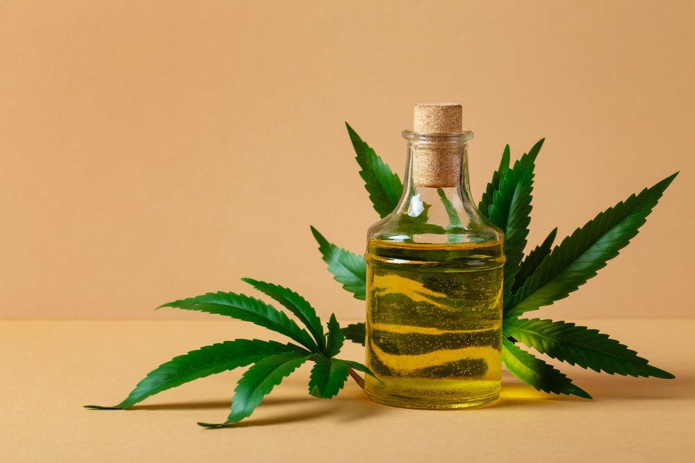 How to Make and Use Homemade Cannabis Oil-Canapuff