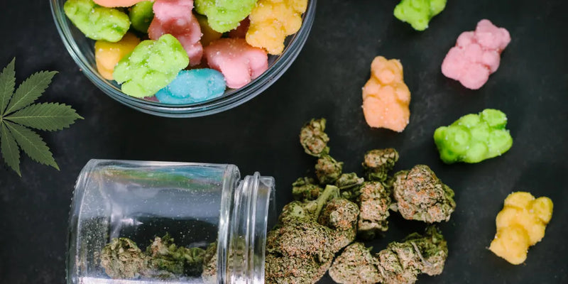 CBD Pilze