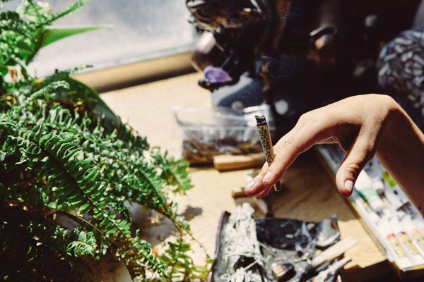 THCA: Nicht-psychoaktives Cannabinoid mit gesundheitlichen Vorteilen-Canapuff