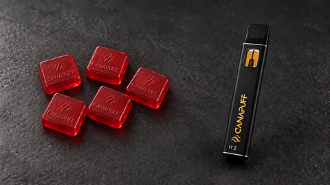 THC Gummibärchen vs THC Vapes: Welches Format passt am besten zu dir?