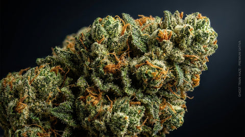 Ghost Train Haze Strain Leitfaden — Wirkungen, Terpene & Herkunft