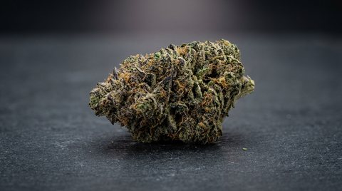 Gorilla Zkittlez Strain Leitfaden: Wirkungen, Terpene und Genetik