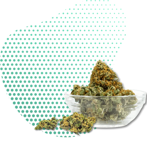 10-OH-HHC Blüten