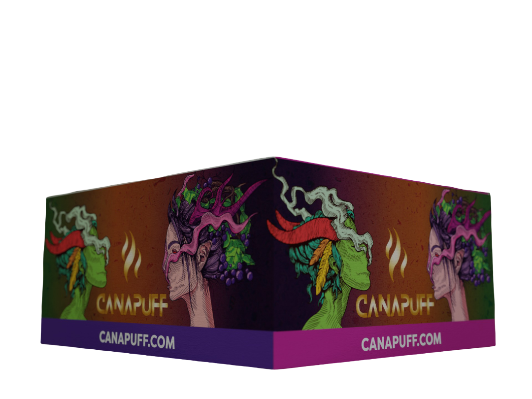 Canapuff Rolling Papers - Maxi Pack KSW mit Tips - Amnesia