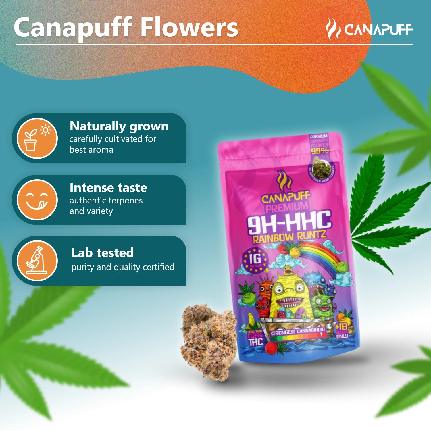 Canapuff - Rainbow Runtz 99% - 10-OH-HHC Blüten