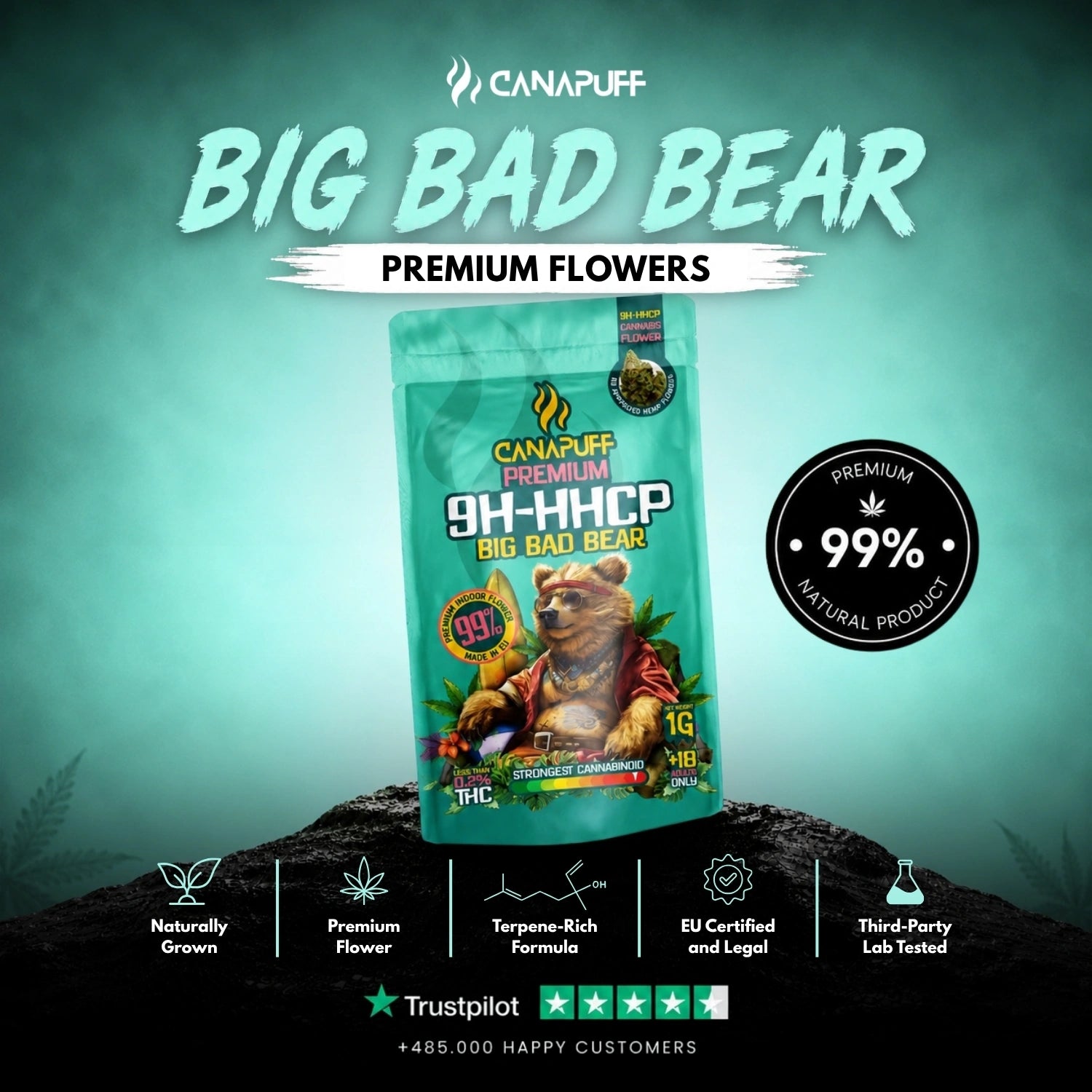 9H-HHCP Blüten Big Bad Bear 99%