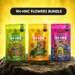 9H-HHC Blüten Bundle (3x1g)