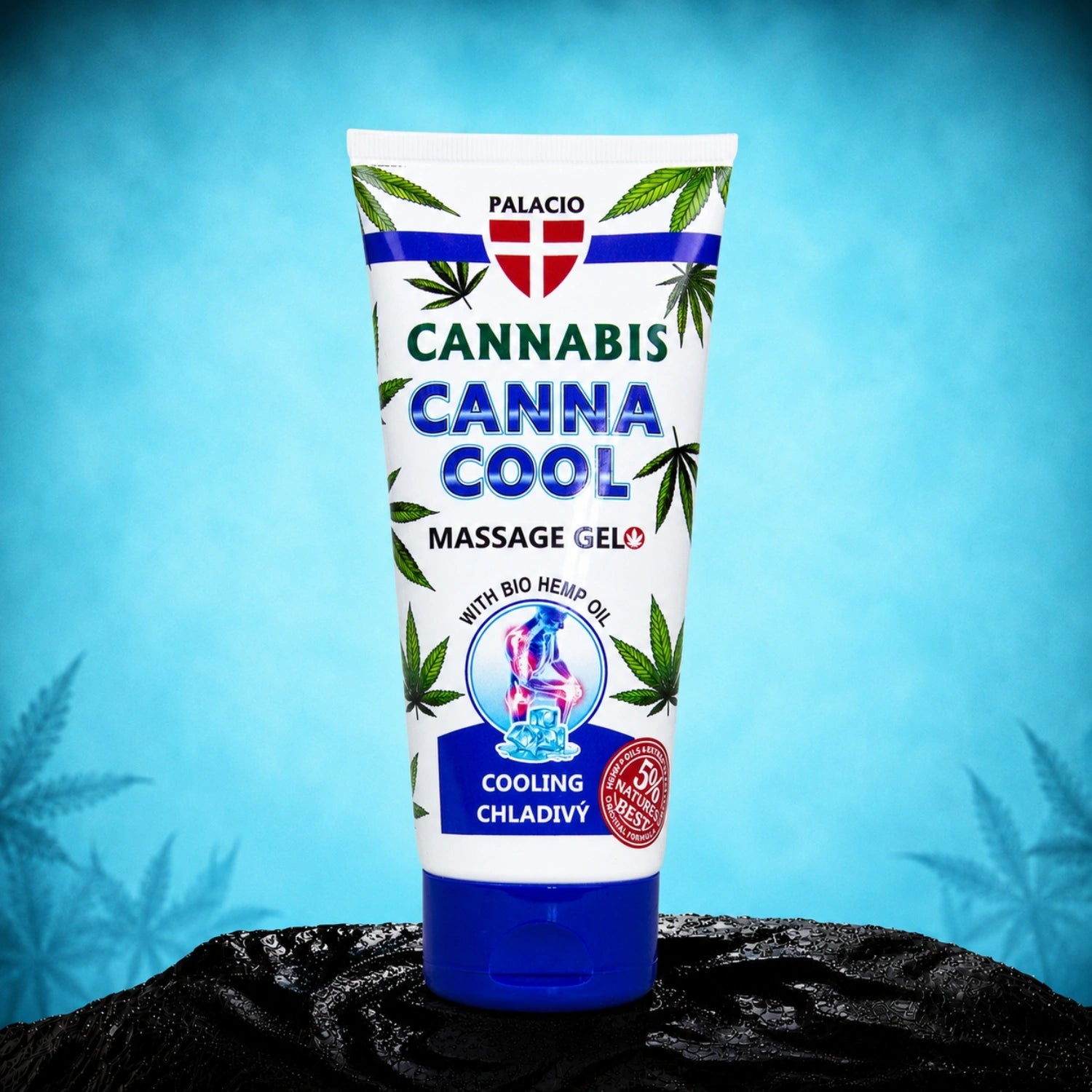 Palacio CANNACOOL Hanf Massagegel kühlend 200ml