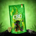Canapuff CBD Flowers Amnesia 69%, 1 gram pack