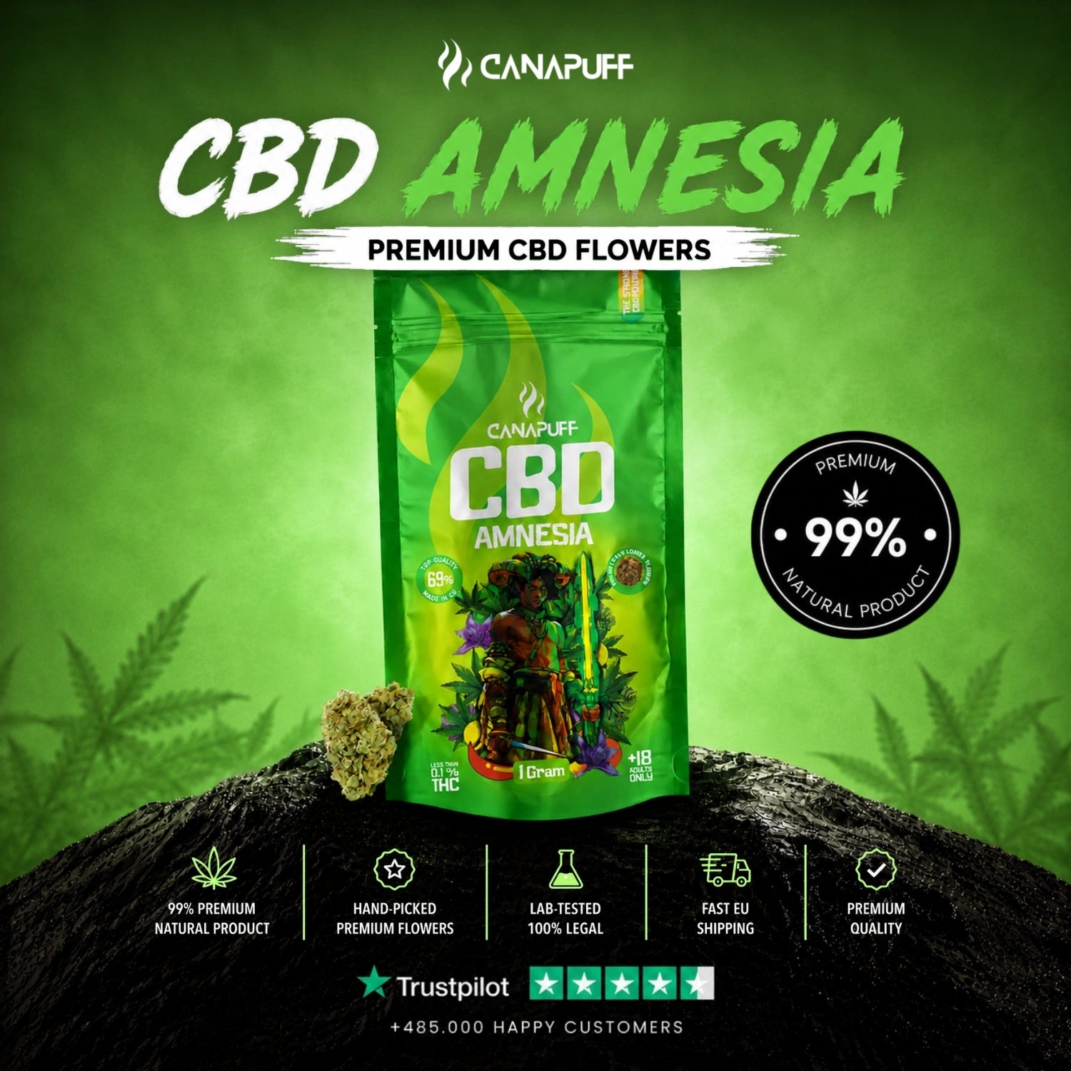 CBD Blüten Amnesia 69%