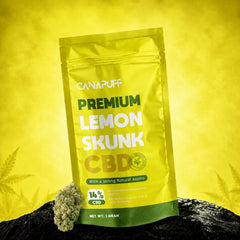 CBD Blüten Lemon Skunk 14%