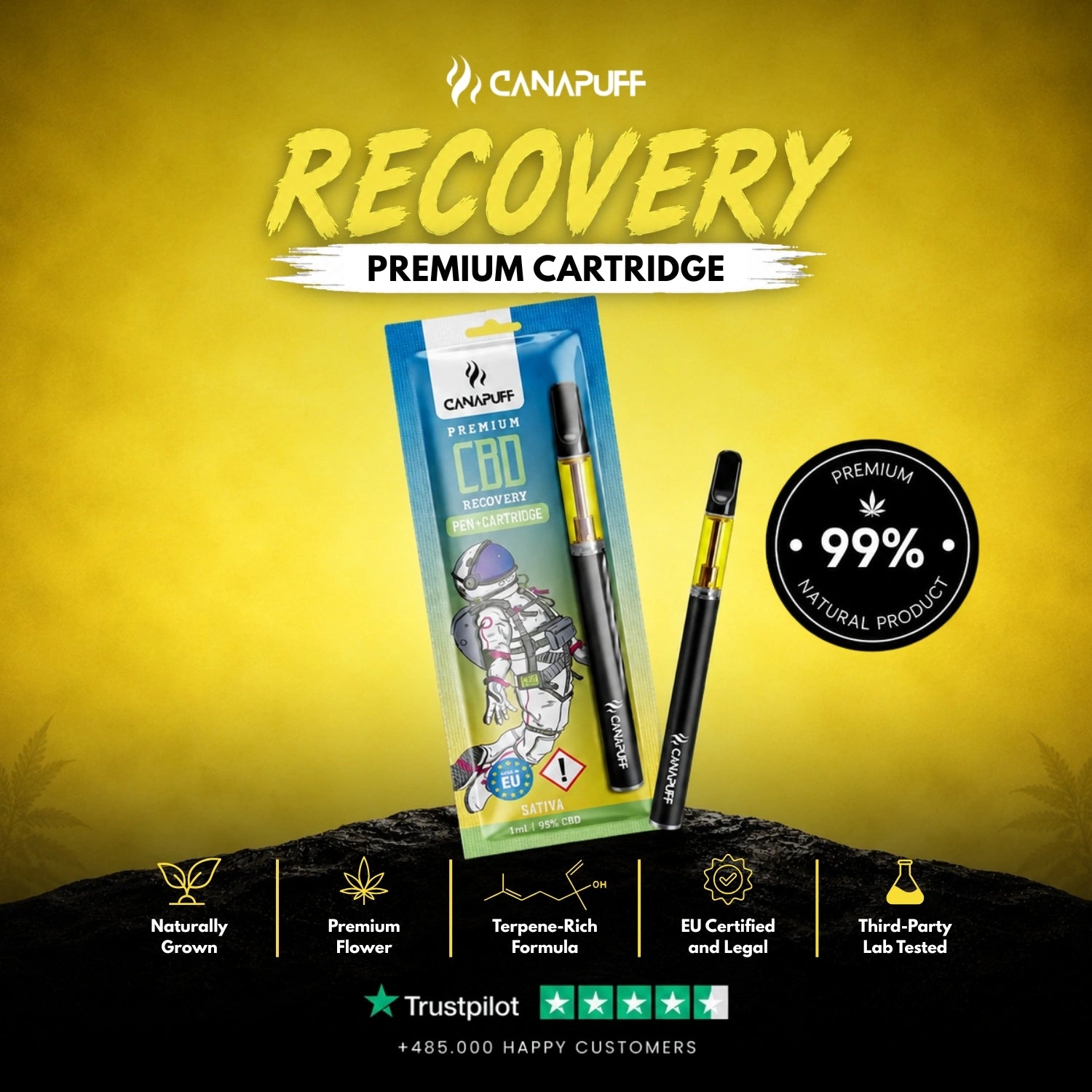 CBD Pen+Kartusche Recovery 95%