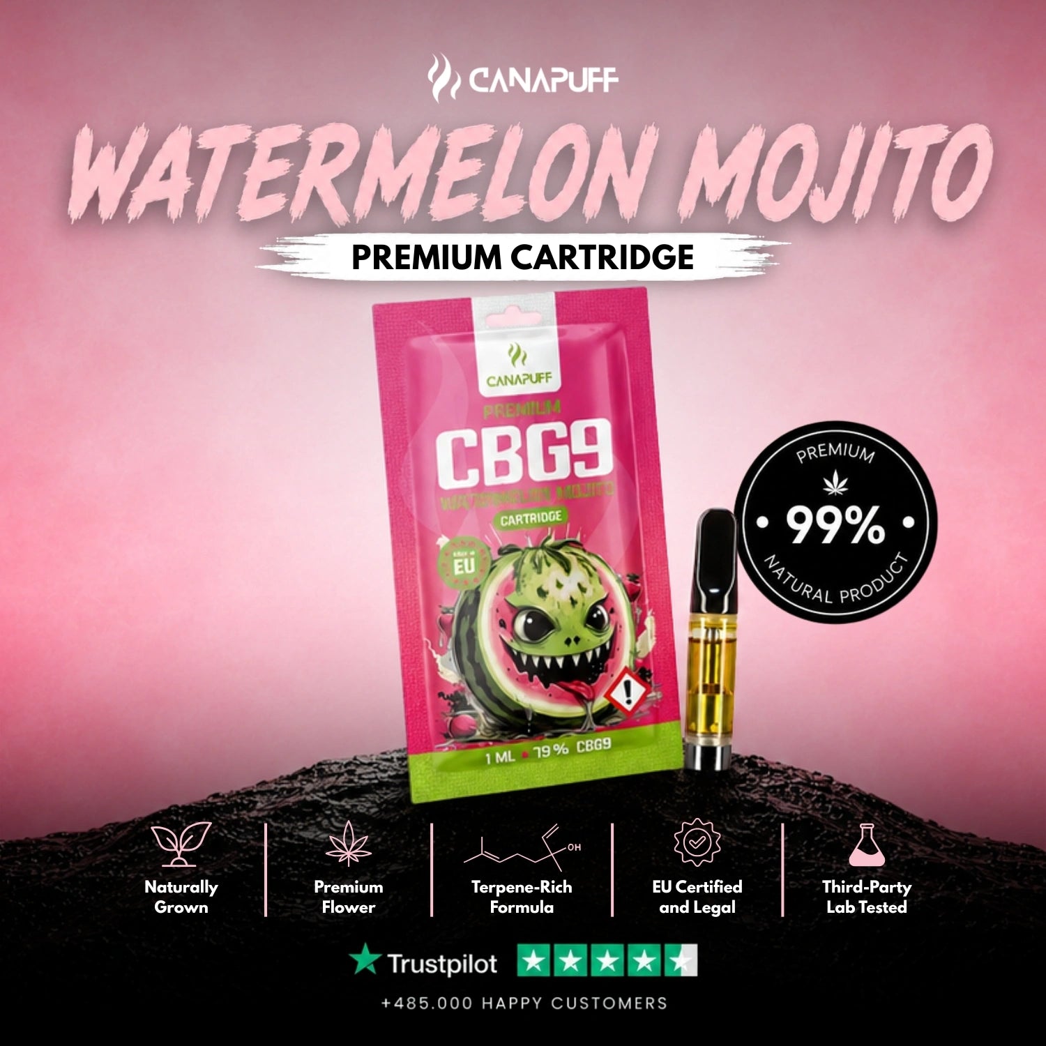 CBG9 Kartusche Watermelon Mojito 79%