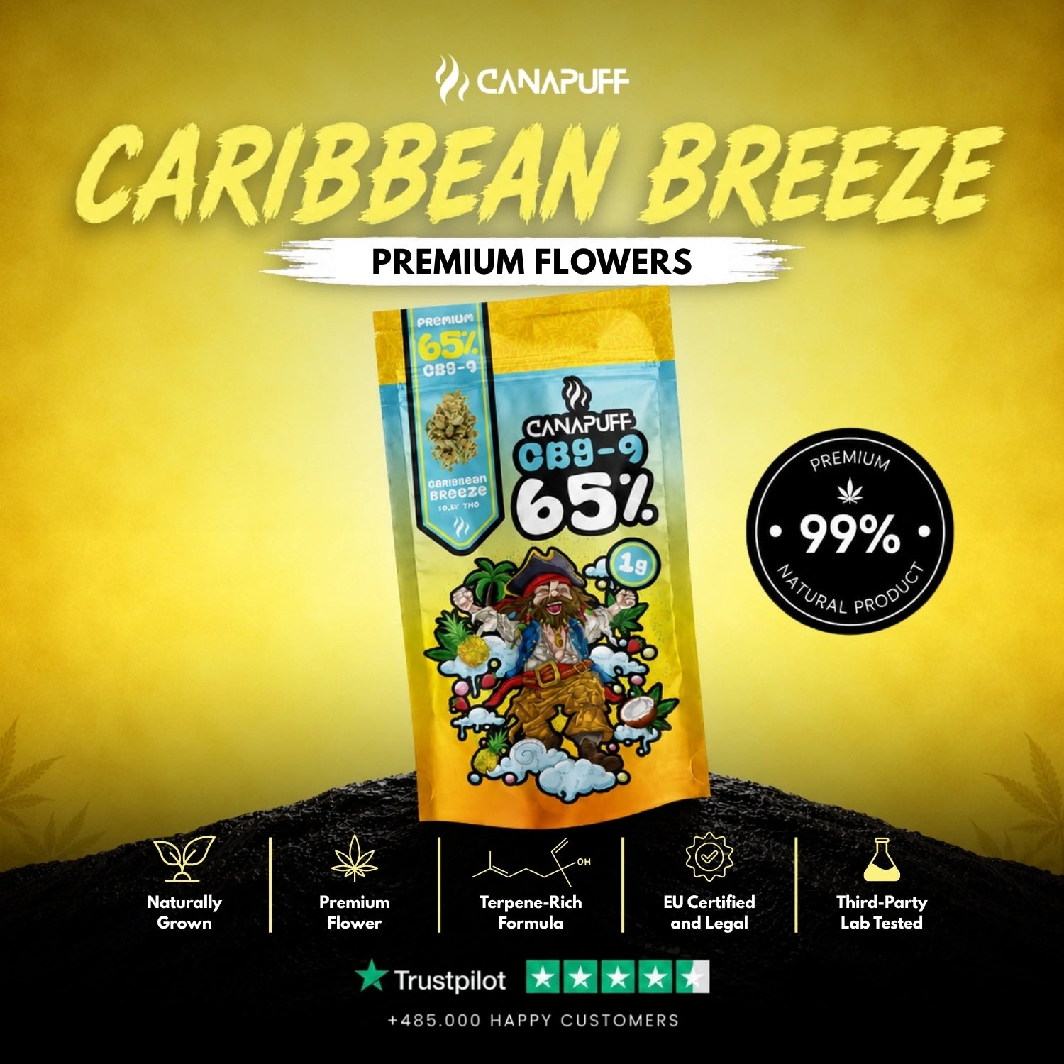 CBG9 Blüten Caribbean Breeze 65 %