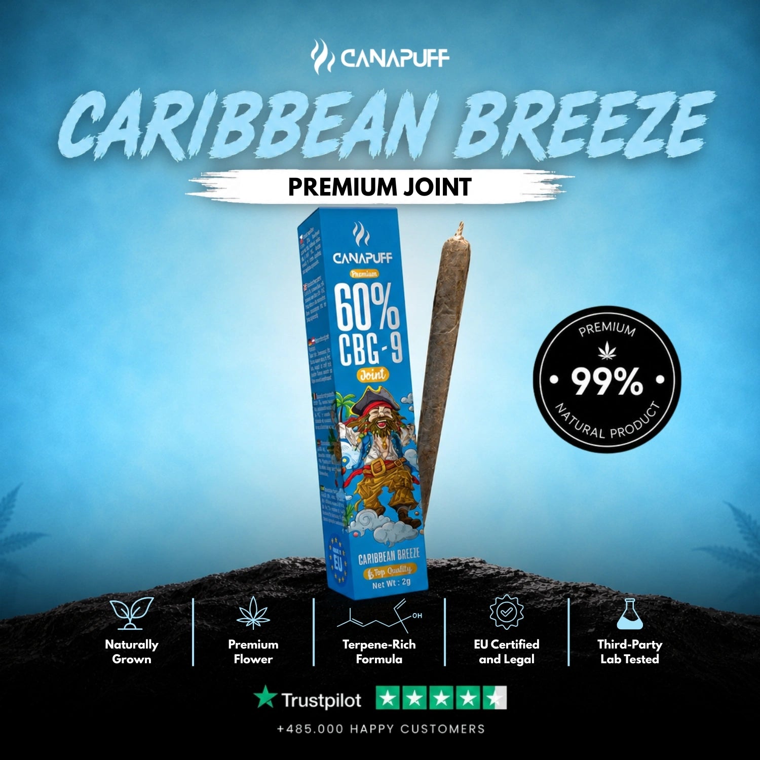 CBG9 Joint Caribbean Breeze 60%