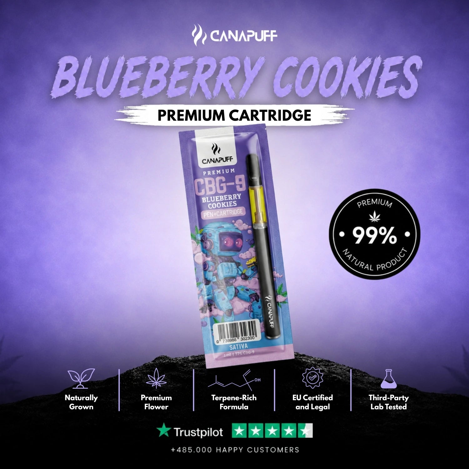 CBG9 Pen+Kartusche Blaubeere Cookies 79%