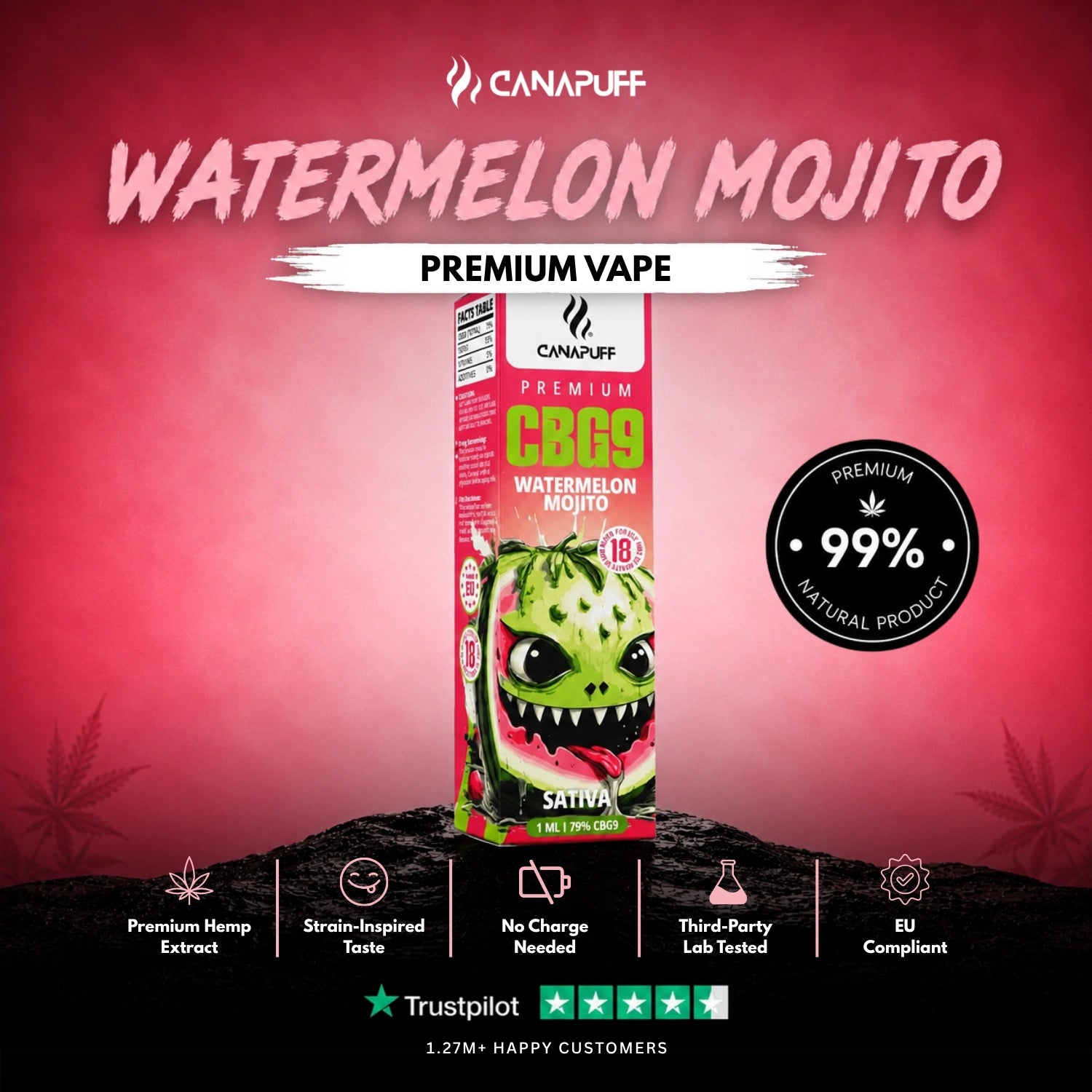 CBG9 Vape Watermelon Mojito 79 % 1 ml