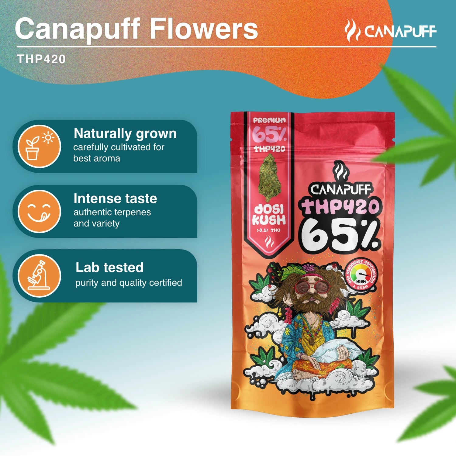 Dosi Kush 65% - THP420 Blüten - Canapuff
