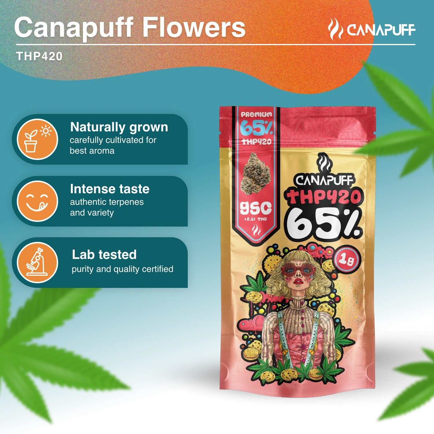 GSC 65% - THP420 Blüten - Canapuff