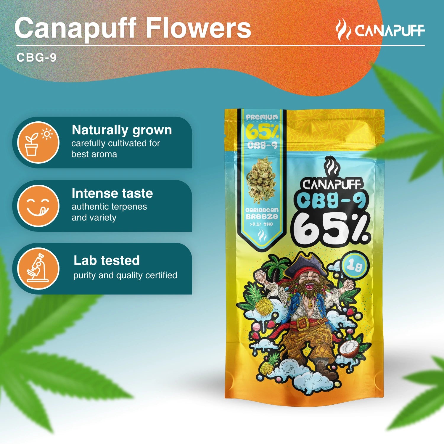 Caribbean Breeze 65% - CBG9 Blüten - Canapuff