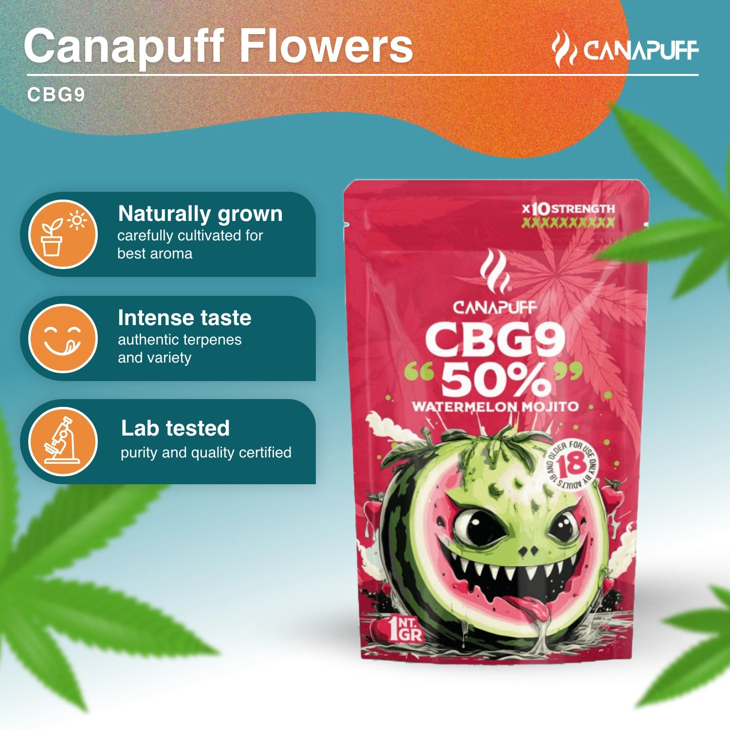 Watermelon Mojito 50% - CBG9 Blüten - Canapuff