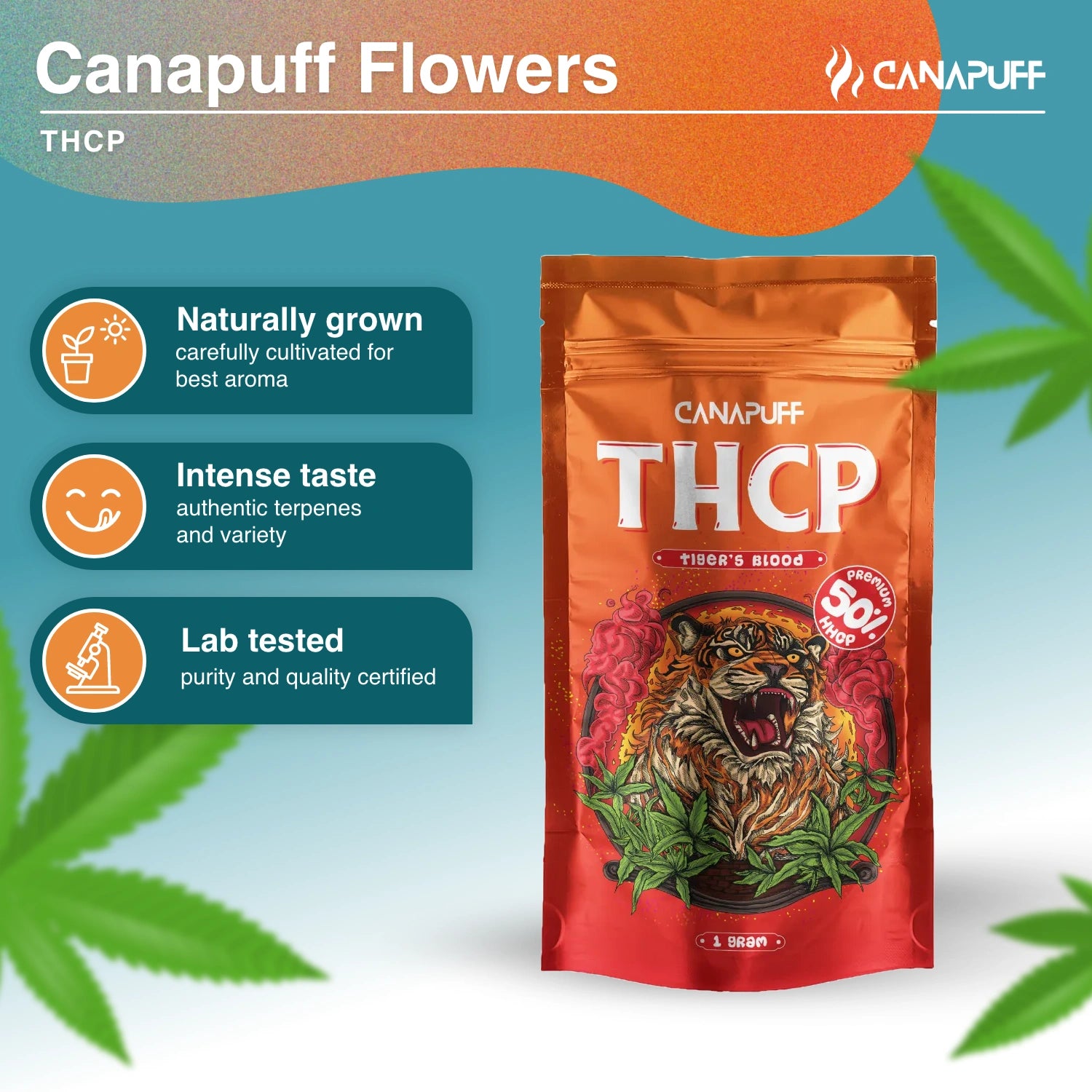 TIGER'S BLOOD 50% - THCp Blüten - Canapuff
