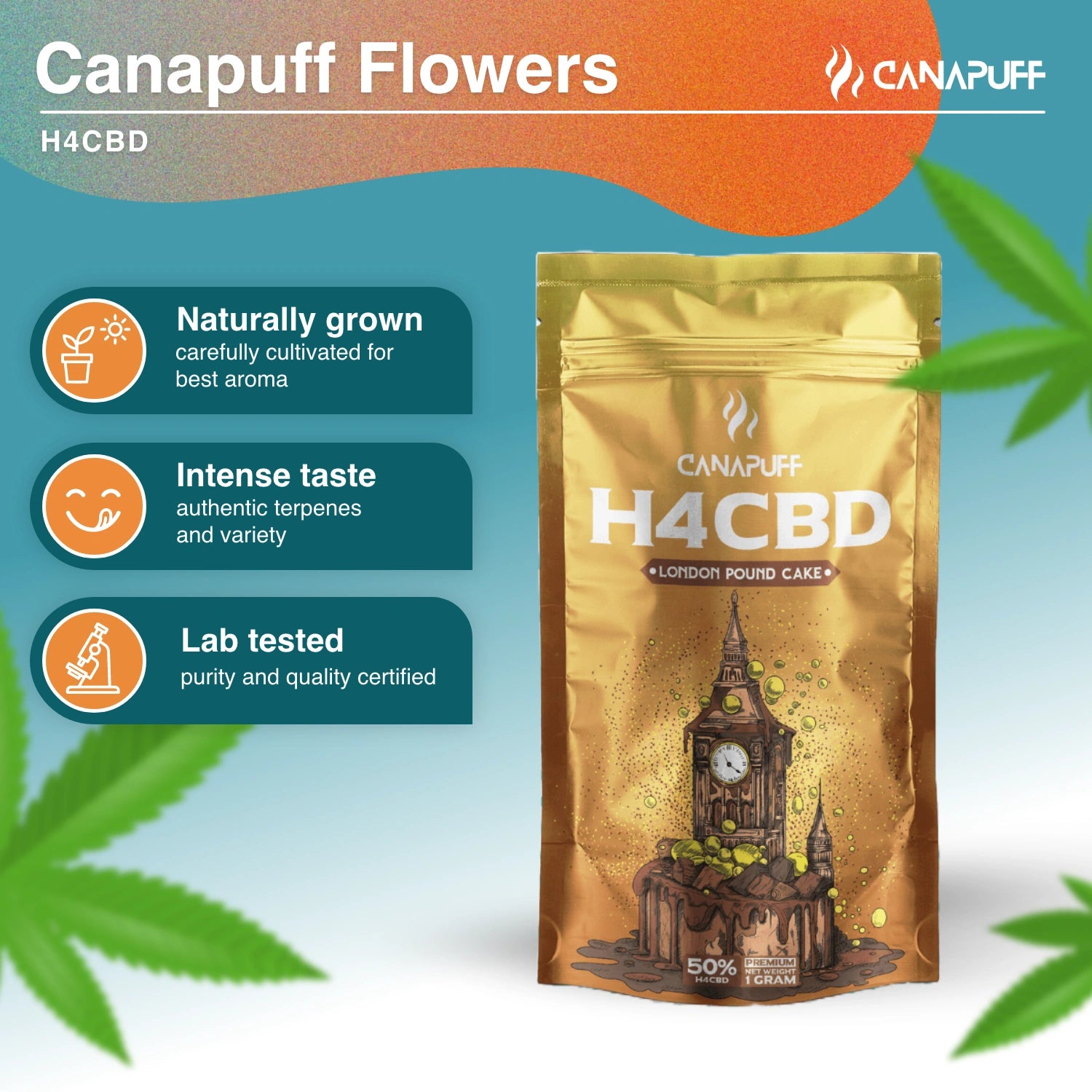 London Pound Cake 50% - H4CBD Blüten - CanaPuff