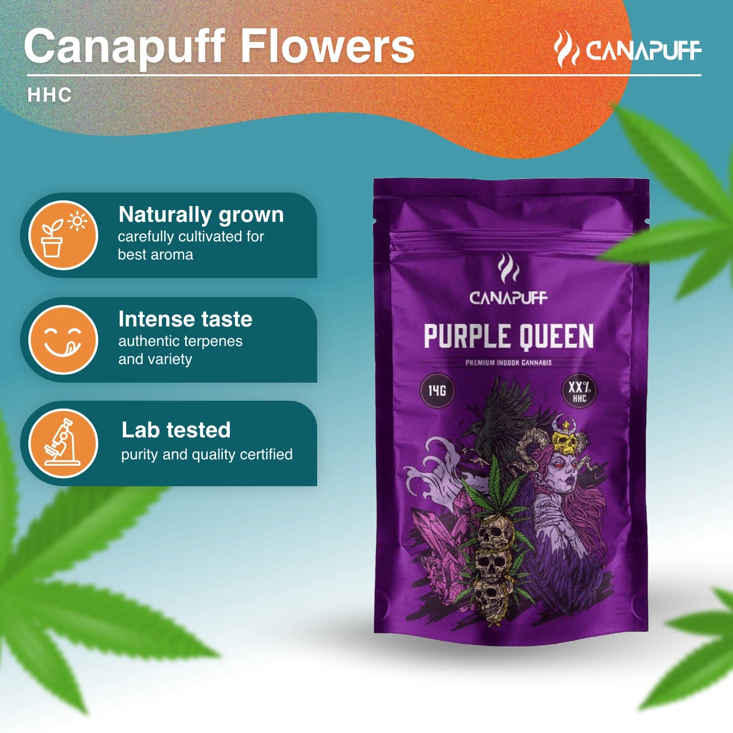 Purple Queen 40% - HHC Blüten - CanaPuff