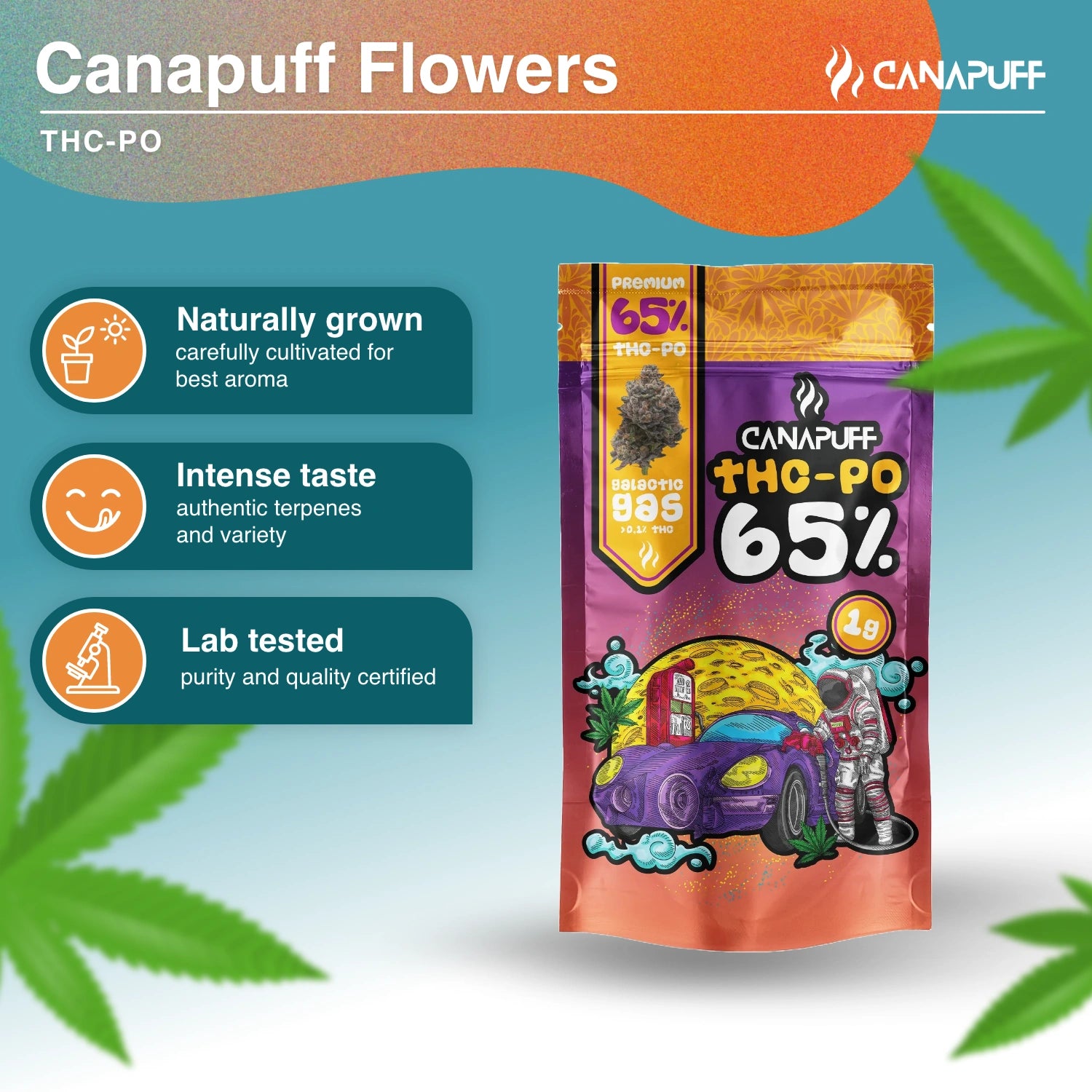 Galactic Gas 65% - THC-PO Blüten - Canapuff