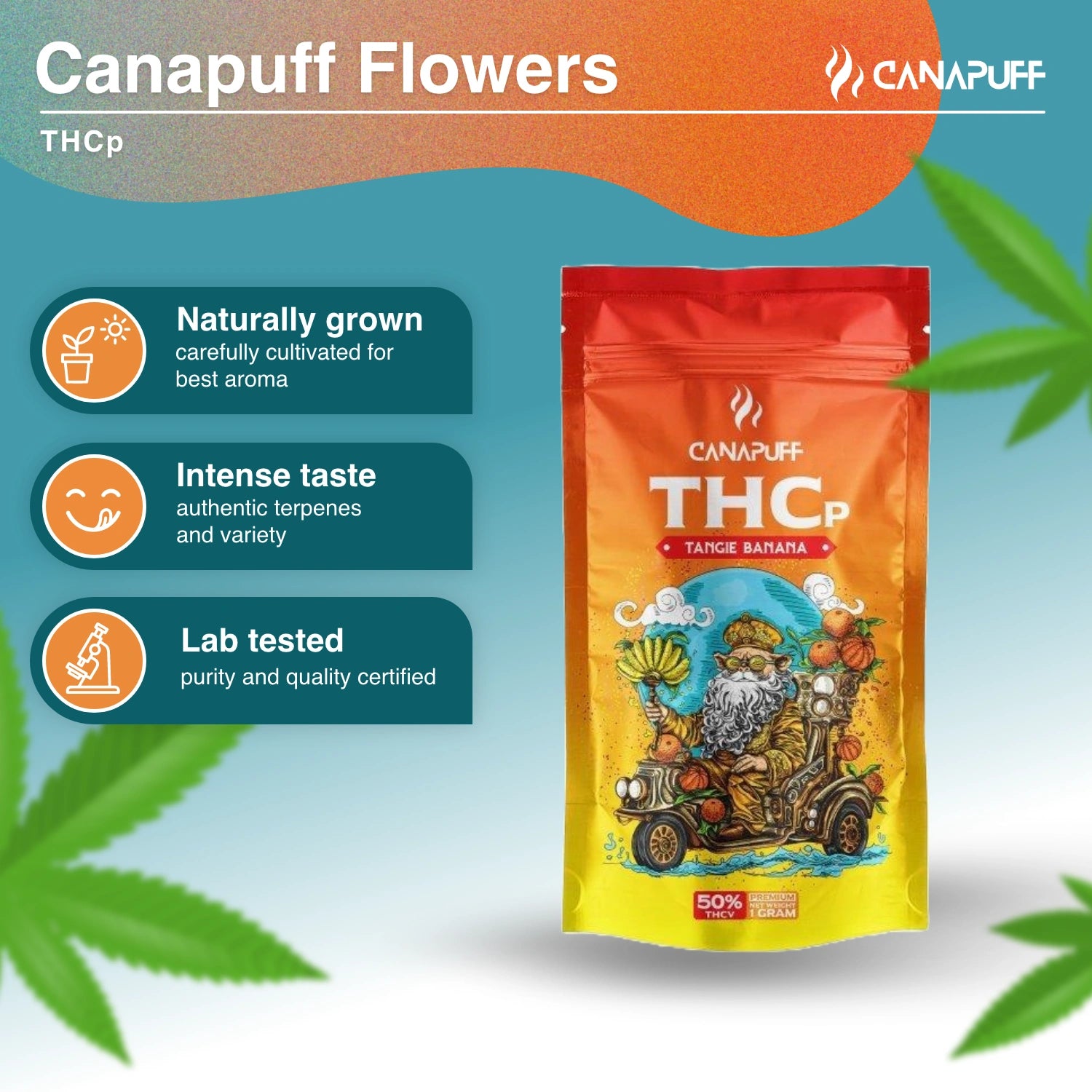 TANGIE BANANA 50% - THCp Blüten - Canapuff
