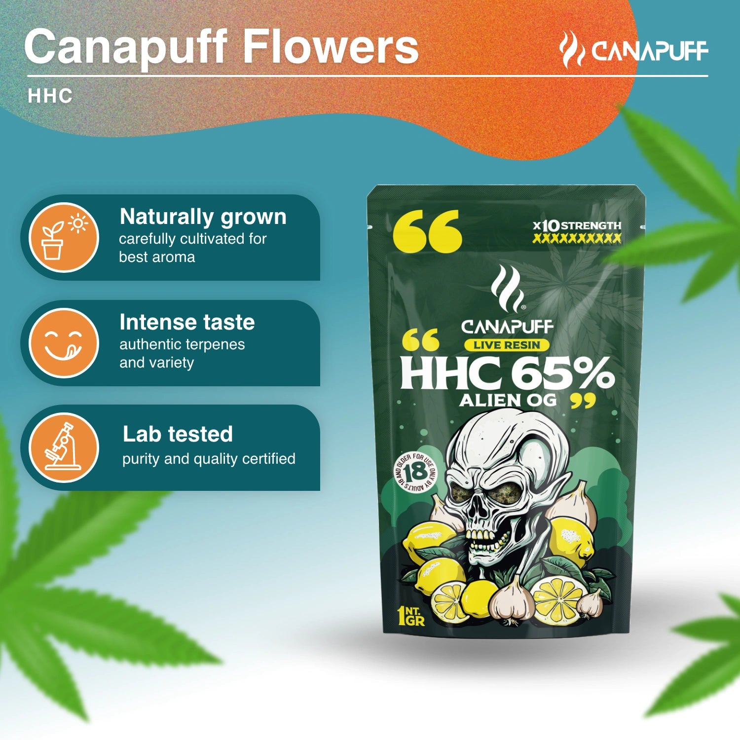 HHC Blüten Alien OG 65% - HHC Blüten - CanaPuff