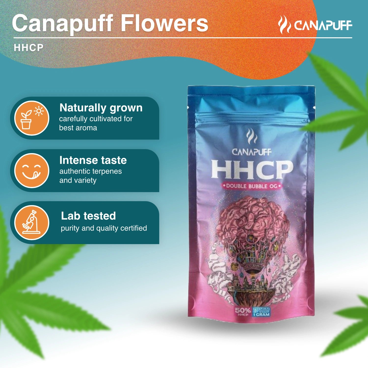 DOUBLE BUBBLE OG 50% - HHC-P Blüten - CanaPuff