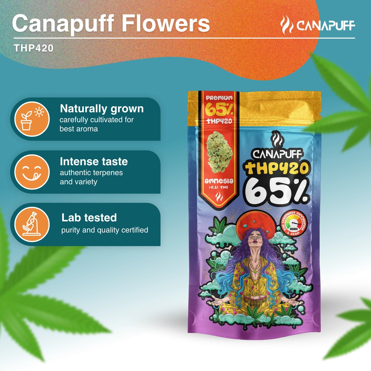 Amnesia 65% - THP420 Blüte - Canapuff